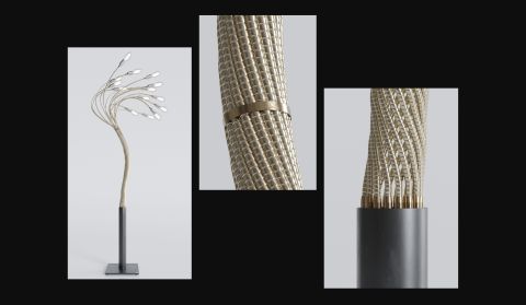 Immagine progetto INSPIRATION Truetopia