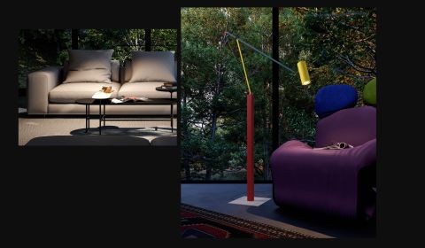 Immagine progetto THE COLOUR IS BACK Truetopia